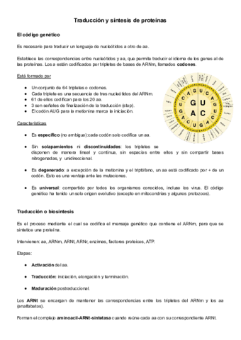 Genetica-molecular-II.pdf