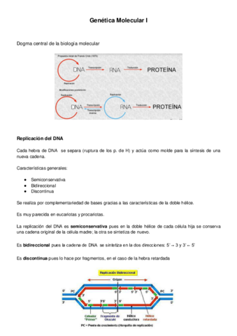 Genetica-Molecular-I.pdf