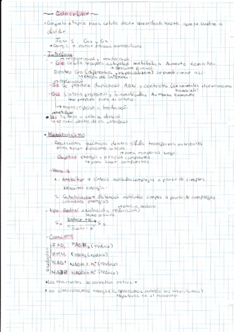 Ciclo-celular.pdf