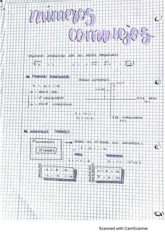 mates-tema-4-numeros-complejos.pdf