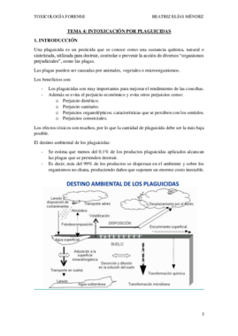TEMA 4.pdf