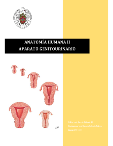Genitourinario-Anato.pdf