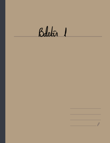 Boletin-1.pdf