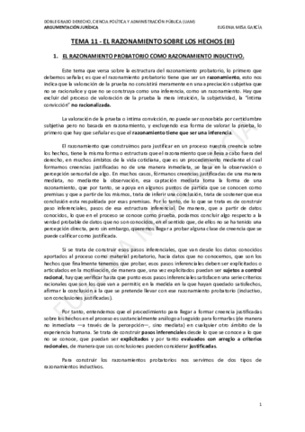 TEMA-11-AJ.pdf