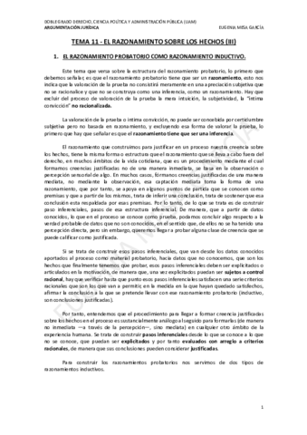TEMA-11-AJ.pdf