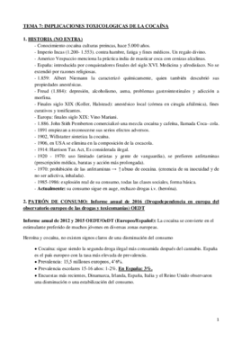 TEMA 7.pdf