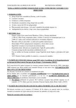 TEMA 6.pdf