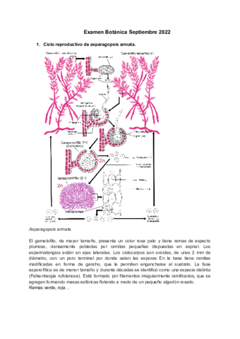 ExamenBotanicaSeptiembre2022.pdf