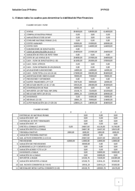 Solucion_Caso_3o_Palma.pdf