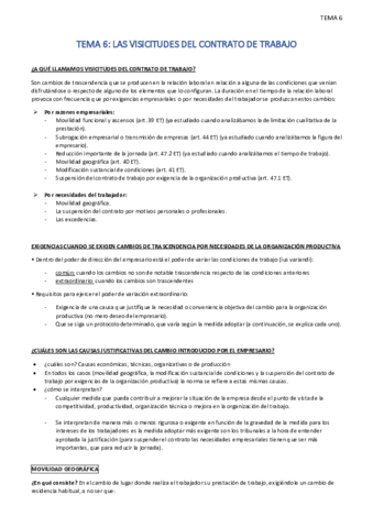 TEMA-6.pdf