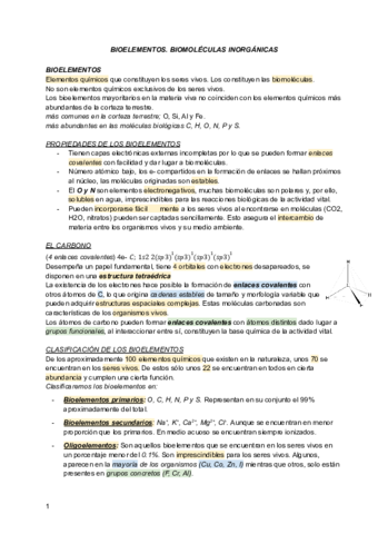 BIOELEMENTOS.pdf