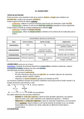 EL-ANABOLISMO.pdf