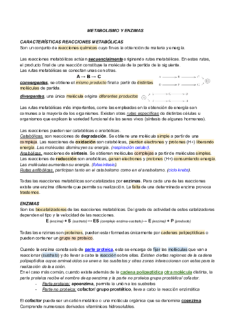 METABOLISMO-Y-ENZIMAS.pdf