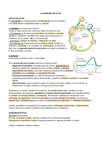 LA-DIVISION-CELULAR.pdf