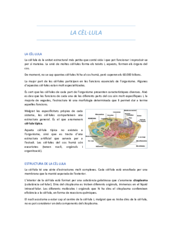 LA CÈL.LULA 1.pdf
