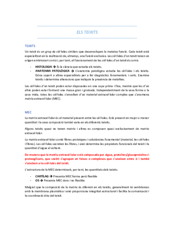 ELS TEIXITS 1.pdf