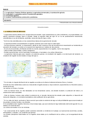 TEMA-4-EL-SECTOR-PRIMARIO.pdf