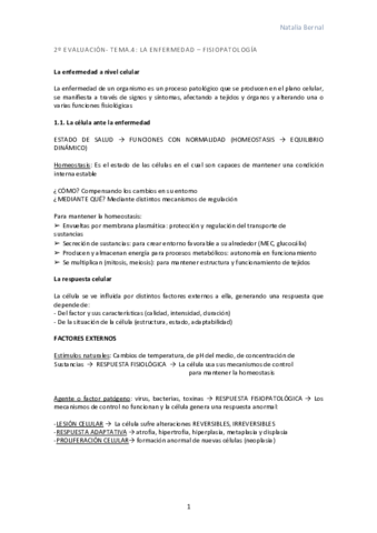 TEMA-4.pdf