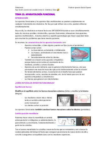 Tema-13.pdf