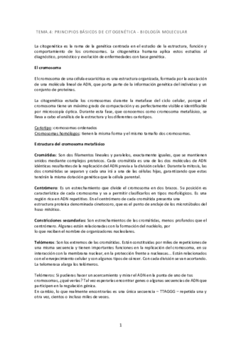 TEMA-4.pdf