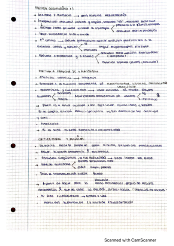Nietzsche-teoria.pdf