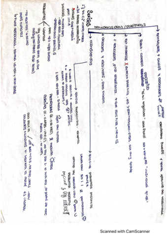 Socrates.pdf