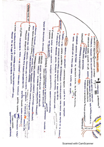 Esquemas-Descartes.pdf