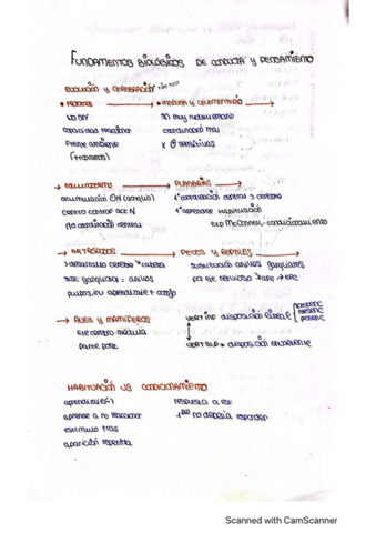 Fundamentos-biologicos-pensamiento-y-con.pdf
