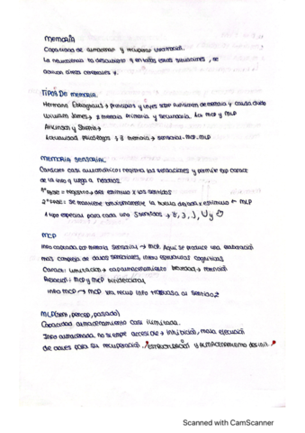 memoria.pdf