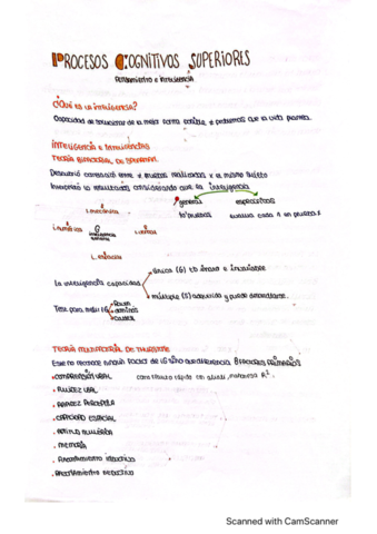 Procesos-cognitivos.pdf