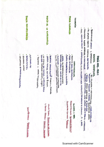 poesia-1975-actual.pdf