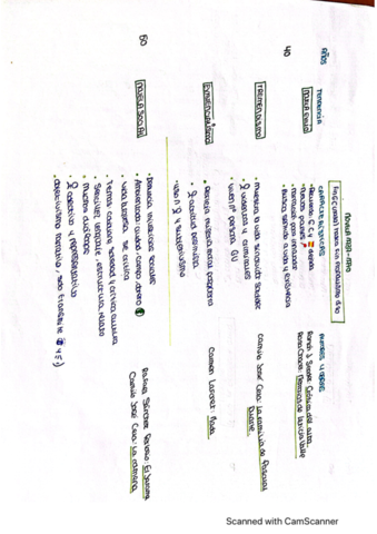 novela-1939-1970.pdf