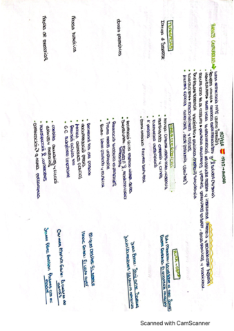 novela-1975-actual.pdf