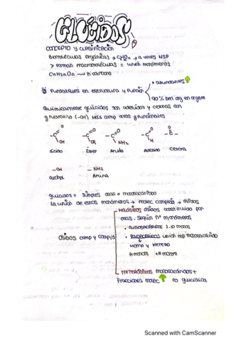 glucidos.pdf