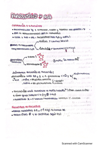 nucleotidos.pdf