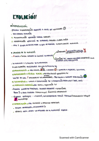 evolucion.pdf