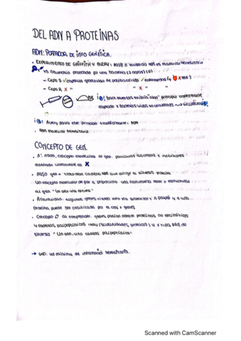 adn-a-proteinas.pdf