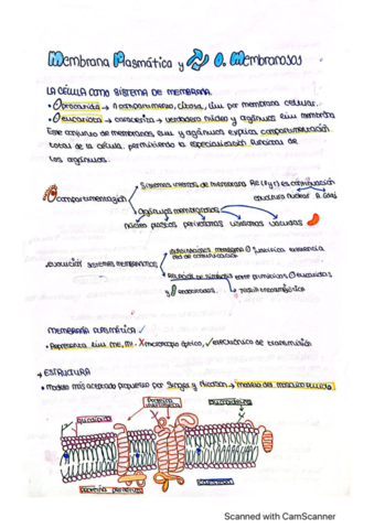 membrana-celular.pdf