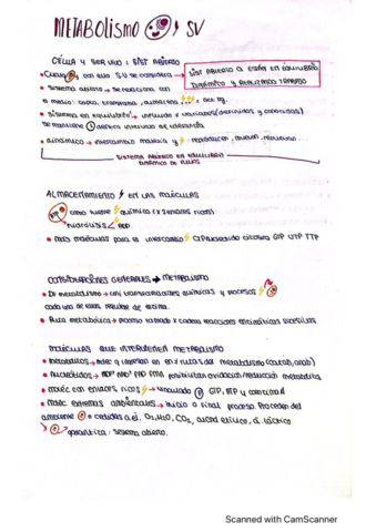 metabolismo-y-catabolismo.pdf