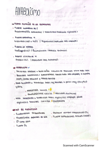 anabolismo.pdf