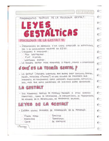 LEYES-GESTALICAS.pdf