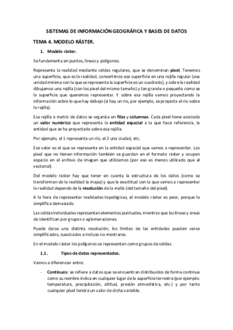 Tema-4-SIG.pdf