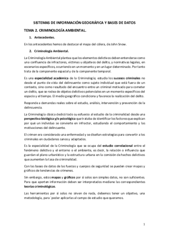 Tema-2-SIG.pdf