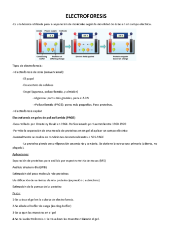 Bloque-II-Electroforesis-teoria.pdf