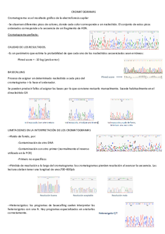 CROMATOGRAMAS-teoria.pdf