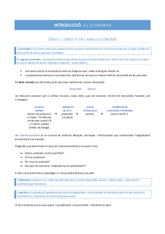 Apunts-Introduccio-Economia.pdf