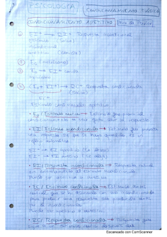APUNTES-PSICOLOGIA.pdf