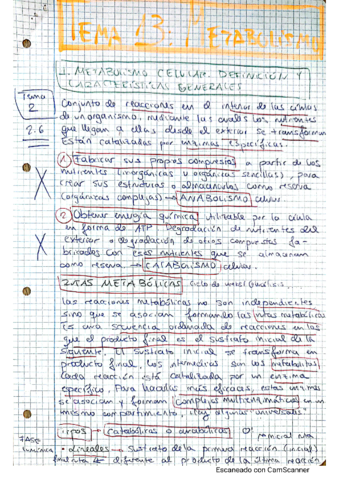 TEMA-13-METABOLISMO.pdf