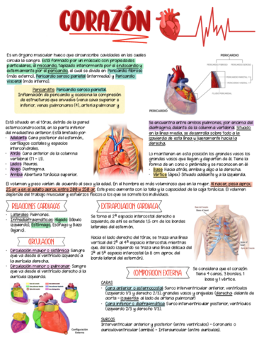 CORAZON-.pdf