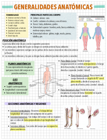 INTRODUCCION-A-LA-ANATOMIA.pdf